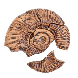 Fosszilis ammonita, mágneses szett, Guidecraft, szín: Többszínű – illusztráció